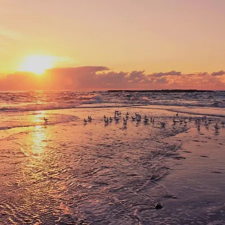 Delf Adults Only Aparthotel Świnoujście