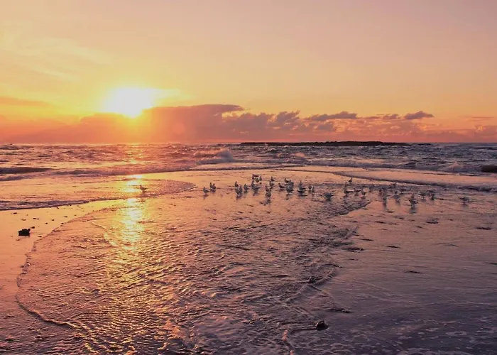 Muselet Adults Only Ξενοδοχείο με διαμερίσματα Świnoujście